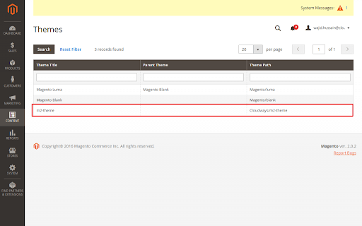 Magento themes