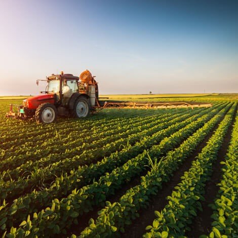 Digital Agriculture Services | Smart Farming Solutions | [x]cube LABS