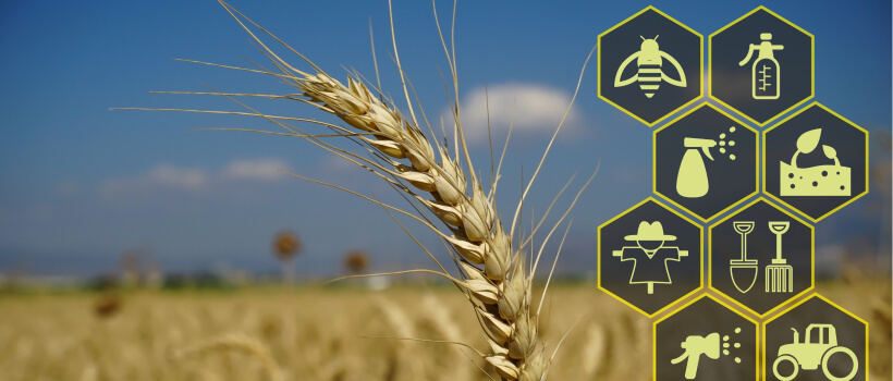 Harnessing the Power of Blockchain in Agriculture: A New Era of Digital Agriculture.