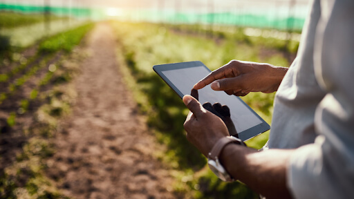 Successful Farming in 2023.