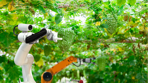 Robotics in Pest Control in Agriculture.