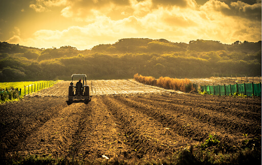 Harnessing the Power of Blockchain in Agriculture: A New Era of Digital Agriculture.