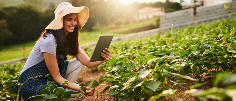 Regenerative Agriculture: Cultivating a Sustainable Future.