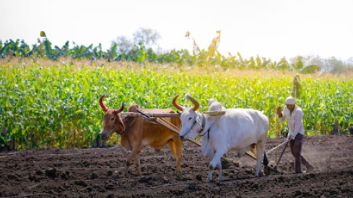 Exploring Agri-tech-The Technologies Driving Global Agriculture.