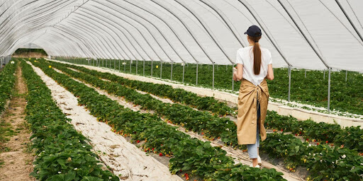 Water Management Software in Agritech.
