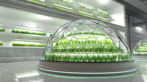 Exploring Agri-tech-The Technologies Driving Global Agriculture.